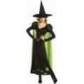 Wicked Witch of the West Costume